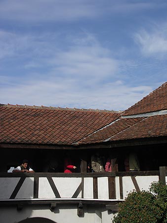 Castelul Bran