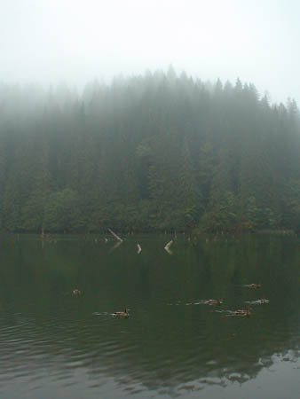 Lacul Rosu